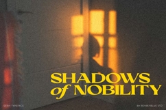 Aurellion - Elegant Serif Font Product Image 11