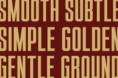 Bartonis Product Image 11