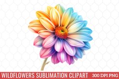 Wildflowers Sublimation Clipart Product Image 1