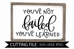You've not Failed You've Learned - Sign - Hand Lettered SVG Product Image 1