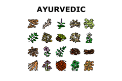 ayurvedic herbs medicine health icons set vector Product Image 1