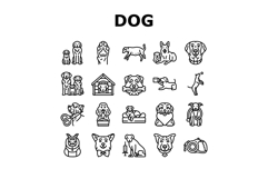 dog breeding genetics pedigree icons set vector Product Image 1