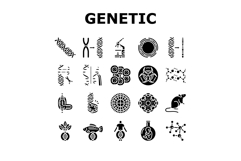 genetic engineering crispr genome icons set vector Product Image 1