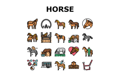 horse breeding equestrian icons set vector Product Image 1