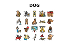 dog competition show breed icons set vector Product Image 1