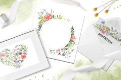 Meadow flowers, wildflowers, herbs watercolor clipart Product Image 7