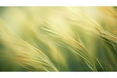 organic soft shapes background Product Image 1