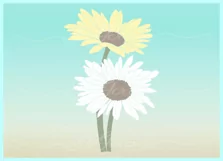 Daisy Flower SVG Dxf Eps PNG files for Cricut Silhouette Product Image 2