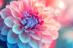Dahlia Pinnata Background Wallpaper Product Image 1