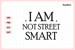 Funny Pet Tag Saying SVG | I Am Not Street Smart Product Image 3