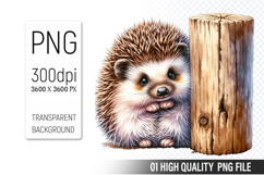 Cute Hedgehog Clipart PNG, Printable Animals, Wildlife Desig Product Image 1