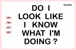 Funny Office Saying SVG | Do I Look Like I Know Product Image 3