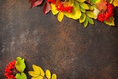 Autumn composition with autumn leaves. Product Image 1