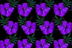 12 Seamless colorful FLOWER patterns bundle. Digital Paper Product Image 15