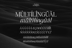 Perfect Strangers I Elegant Serif Product Image 2