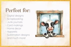 Funny Peeping Cow, 3D sublimation clipart Product Image 3