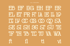 Rochilo - Stylish Slab Ligatures Font Product Image 12