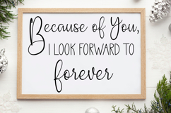Vintage Farmhouse SVG Bundle Product Image 13