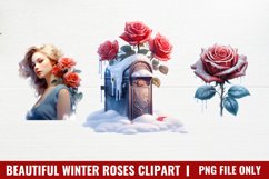 Beautiful Winter Roses Clipart, Christmas Rose Clipart Product Image 1