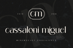 Ragion | Sans Serif Font Product Image 12