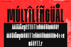 Kalina - Ultra Condensed Font Product Image 11