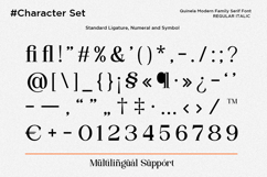 Quinela - Luxury Serif Family with 6 Weights Product Image 12