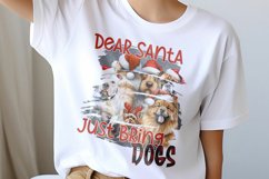Dear Santa Just Bring Dogs w/Santa Hats Product Image 2