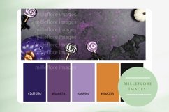 Halloween Flatlay Mockups Styled Stock Photo Bundle. Purple. Product Image 12