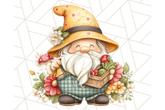 Summer Garden Gnomes Clipart PNG, Summer Country Gnomes Png Product Image 4