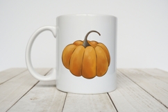 Hand Drawn Pumpkin PNG Clipart | Autumn Illustration Product Image 2