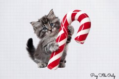 Christmas Cats Clipart PNG Product Image 1