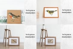 Vintage Birds, Antique Birds Clipart Product Image 12