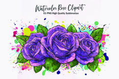Watercolor rose bouquet clipart sublimation Product Image 1