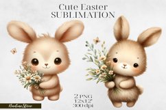 Cute Easter and Spring Clipart PNG. Product Image 1