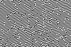 Turing Seamless Pattern #01 Product Image 3