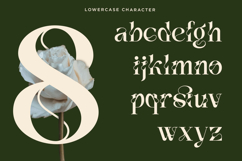 Vanelo - Luxury Serif font Product Image 11