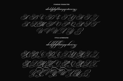 Brilliani Script Pro Product Image 12