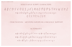 Souls Wylde Font Trio - Script Font and Sans Fonts Product Image 12