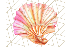 Natural Seashell Clipart PNG, Summer Nautical Beach Shell Product Image 4