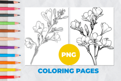 Freesia flower Coloring Pages | Coloring book Product Image 1