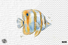 Dreamy Coral Reef Clipart - Summer Clipart Product Image 1