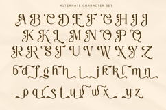 Classy Exclusive - Luxury Italic Font Product Image 12