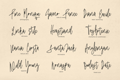 Blistwing Signature Product Image 12