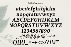 Absture | Vintage Serif Font Product Image 12
