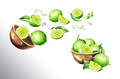 Lime citrus. Watercolor collection Product Image 13