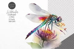 Dragonfly clipart, Flower clipart, Summer clipart Product Image 1