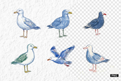 Hand-Drawn Summer Seagull Clipart Product Image 1