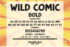 Wild Comic Font | Bold &amp; Outline Playful Cartoon Font Product Image 2