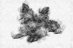 Printable Dog Graphics Pack #24 JPG 300 dpi Illustration Product Image 1