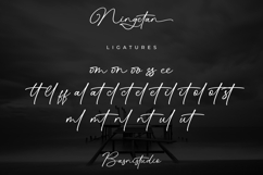 Ningetan Handwritten Font Product Image 12